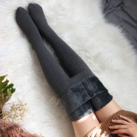 Jiang Da Mao 1000D cotton mờ sọc xám cộng với quần lửng nhung chống chân bước chân quần tất nữ
