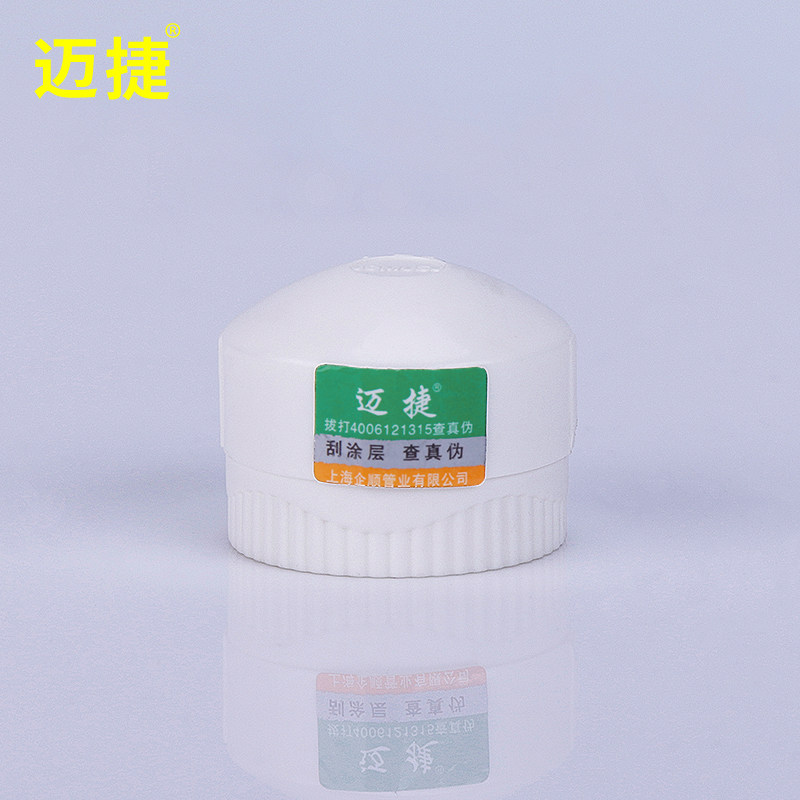 20PPR water pipes 75 clots 4 dispensing pieces 6 points hot melt 25 Choke Plug 32 Pipe Cap 1 Inch Pipe Lid 40 40 White 50 Tube Pieces 63