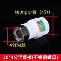 20*4 очков прямое (модель нержавеющей стали)