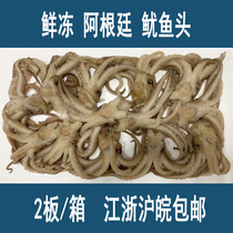 Fresh frozen squid head squid whiskers squid claws squid feet 5 4 pounds Jiangsu Zhejiang Shanghai and Anhui