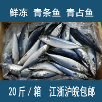 (Special promotion)Fresh frozen green fish Blue diamond fish blue diamond fish 1 catty 3 or so whole box 20 catty