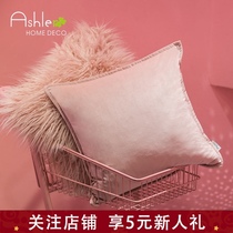 Ins pillow sofa Nordic wind two-piece set net red solid color backrest pad Plush pink girl plush pillow
