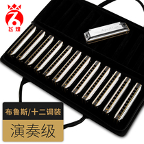 German import sound spring ten holes Blues harmonica professional playing level full set of 10 holes Blues harmonica adult self-study