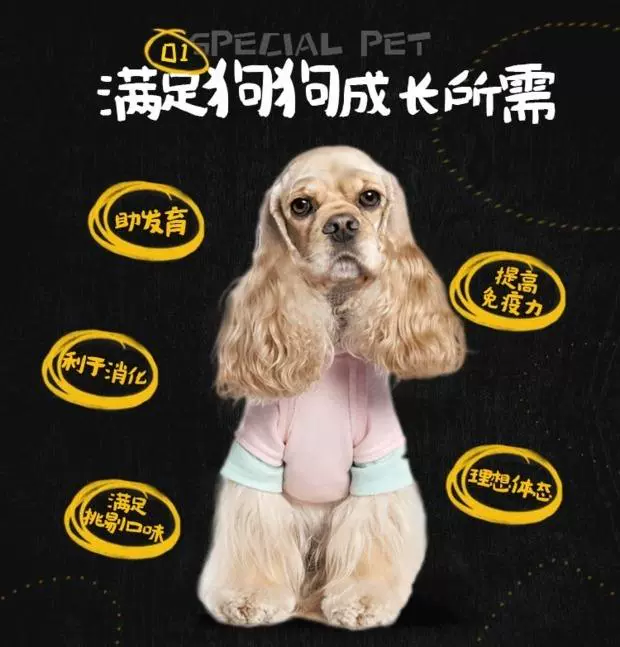 Công thức Poodle VIP D Gay Dog Food Delicious Alaska Số lượng lớn túi dung lượng phổ