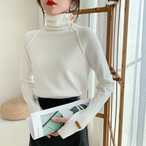 Pile high collar 2020 autumn and winter New slim long sleeve tight body