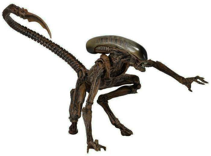 Bán hợp đồng người ngoài hành tinh NECA Người ngoài hành tinh 8 con chó hình sóng Ripley Nữ diễn viên có thể làm điều đó - Capsule Đồ chơi / Búp bê / BJD / Đồ chơi binh sĩ bup be