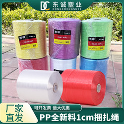 1cm Wide Thin Rope New Material Pp Binding Rope Plastic Rope Binding Belt Packaging Rope Strong and Easy to Use Packing Rope