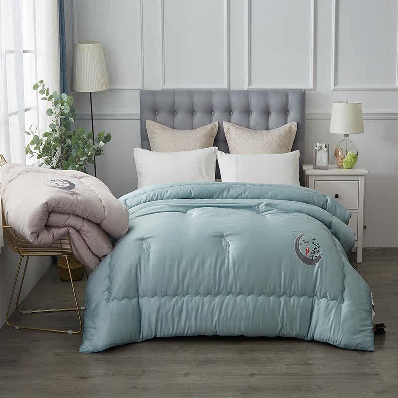 Gold Shells Home Textiles Thickened Warm Double Quilt Core Winter Quilted Winter Cotton Quilted By Comfort Sky Blue Soft Quality
