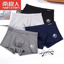 Teenager underwear boy 100% cotton boxer shorts 13 junior high school students 14 pure cotton developmental period 15-year-old boy