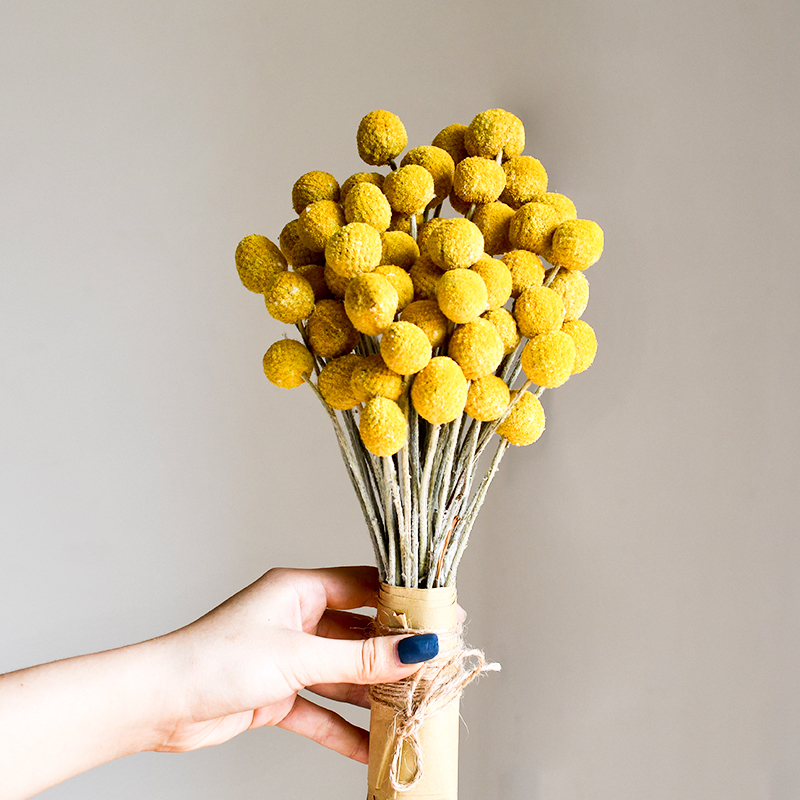 Gold Ball Dry Flower Bouquet Nordic Wind Decoration Pendulum Living-room Real Diy Material Flower Arrangement Perpetual Raw Flowers Shooting Props