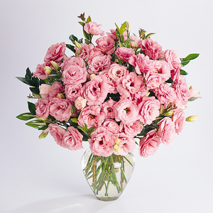 夏夏花园 进口鲜切花洋桔梗小花苗12 9元 优惠价youhuijia Com