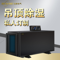 Wet beauty industrial ceiling pipe temperature control cooling dehumidifier