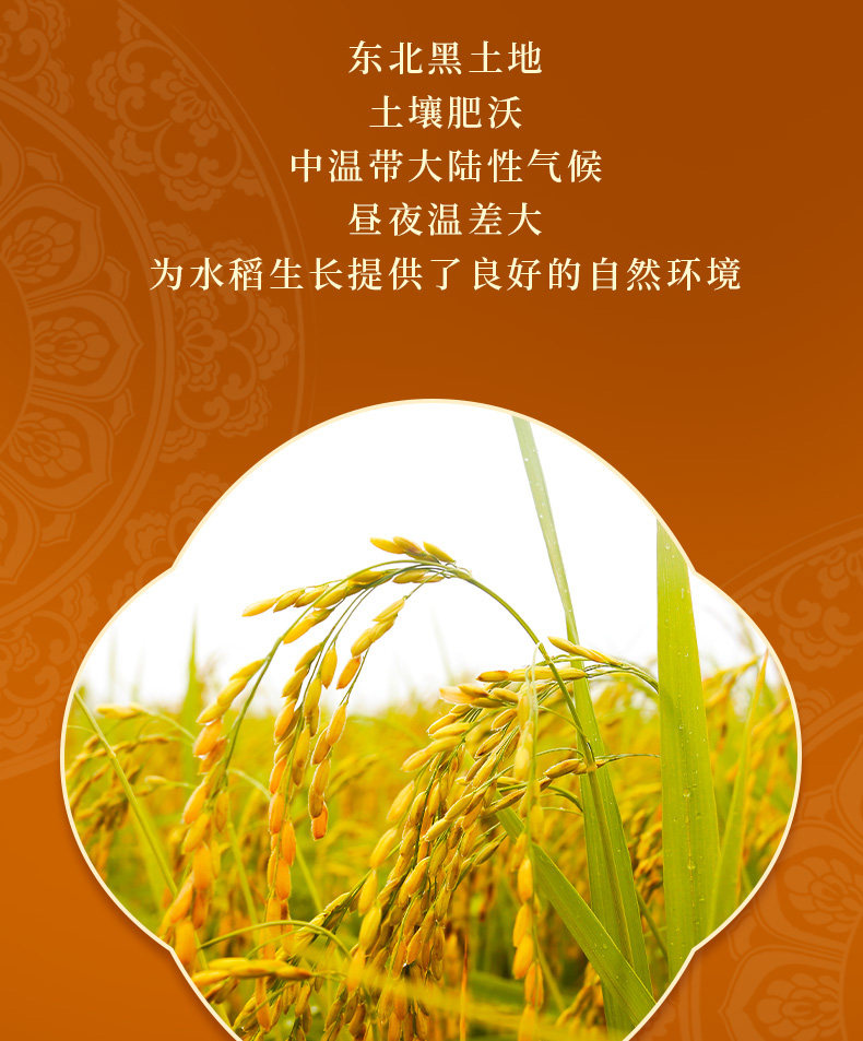 欢乐逛海报