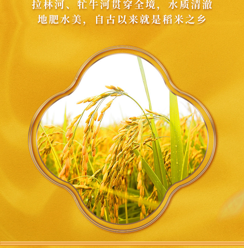 Light huangfu-recovery-recovery_10.jpg