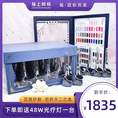 Flan bear nail polish set 2019 new color nail salon special store light therapy glue 72 color fashion color