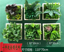 Wall decorations three-dimensional plant wall hanging Accessories Wall living room bedroom shop room simulation floral wall pendant