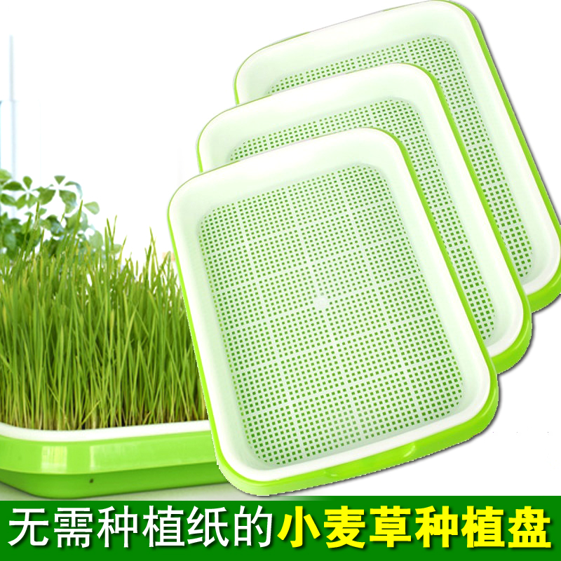 Nursery plate Sprout vegetable planting plate Bean sprout soil-free culture Paper vegetable wheat grass seed tray Plastic