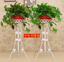 Green Luo living room green basket indoor flower stand Iron village high floor shelf flower pot stand thick iron shelf single layer Yang