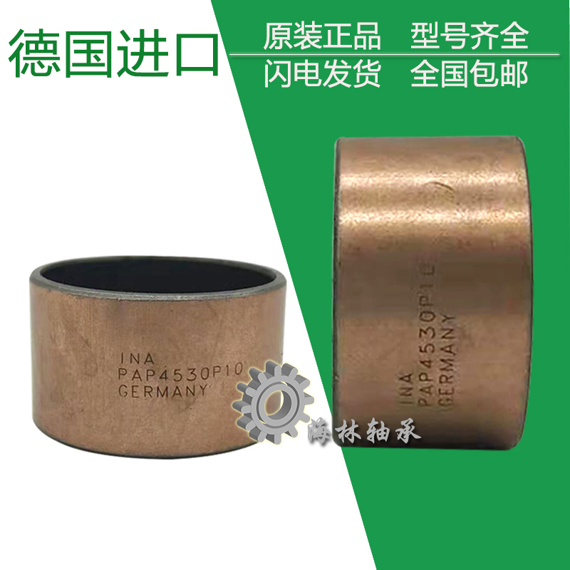 INA Bearing EGB Bearing PAP5040 5050 5060 5530 5540 P10 P11 P14 E40P20