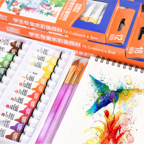 Art Kingdom painted watercolor paint beginner toolbox set jelly paint tube for childrens gouache watercolor paint 12 18 24 color single box student art painting set