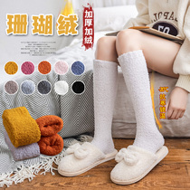 Coral velvet socks men and women winter thick warm calf socks plus velvet high socks home floor sleep socks Terry