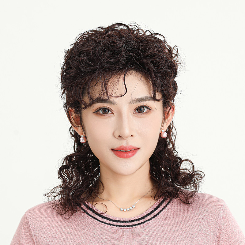Wig for Women, Long Hair, Real Hair, Natural, 2023 New Fashion, Full Head, Real Human Hair, Wool Curls, Half-Tied, Can Be Styled, Wig