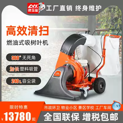 Tanlong T80SY fuel leaf suction machine scenic area Street property sweeper golf course large leaf suction machine