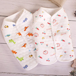 Dog Clothes Autumn Outfit Two-Legged Teddy Bichon Pomeranian Small Dog Stylish Pet Vest Cute Trendy Brand Padded Cotton