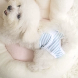 Физиологичные безопасные штаны, безопасное нижнее белье