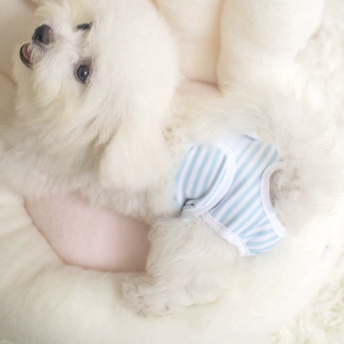 Физиологичные безопасные штаны, безопасное нижнее белье