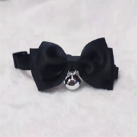 Черный слой