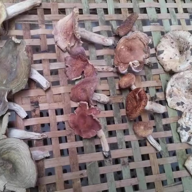 深山珍馐：揭开野生干货蘑菇神秘面纱