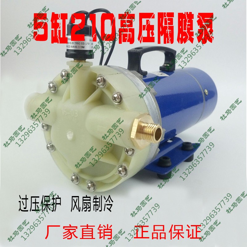 12V24V48V60V five-cylinder diaphragm pump high pressure spray pump agricultural electric garden irrigation self-priming machine