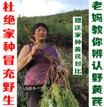 Gansus new stock pure natural wild milk vegan 500 gr Tgrade no sulphur Zhengbei tablet can grind the whole big root