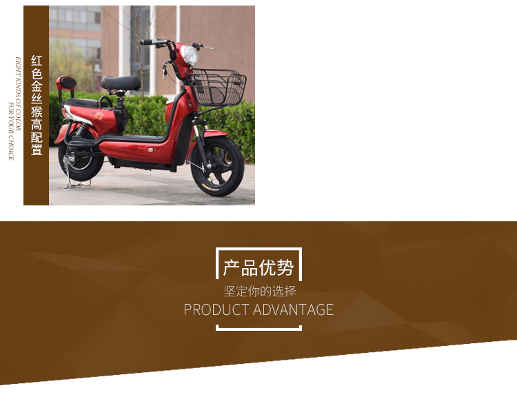 Mới xe điện xe người lớn xe đạp điện nhỏ pin xe dài chạy wang xe đạp điện 48v xe điện xe điện vespa