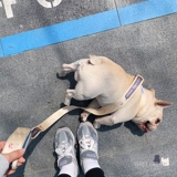 Серый кремовый прилив бренд бренд плюшевая снегопадка