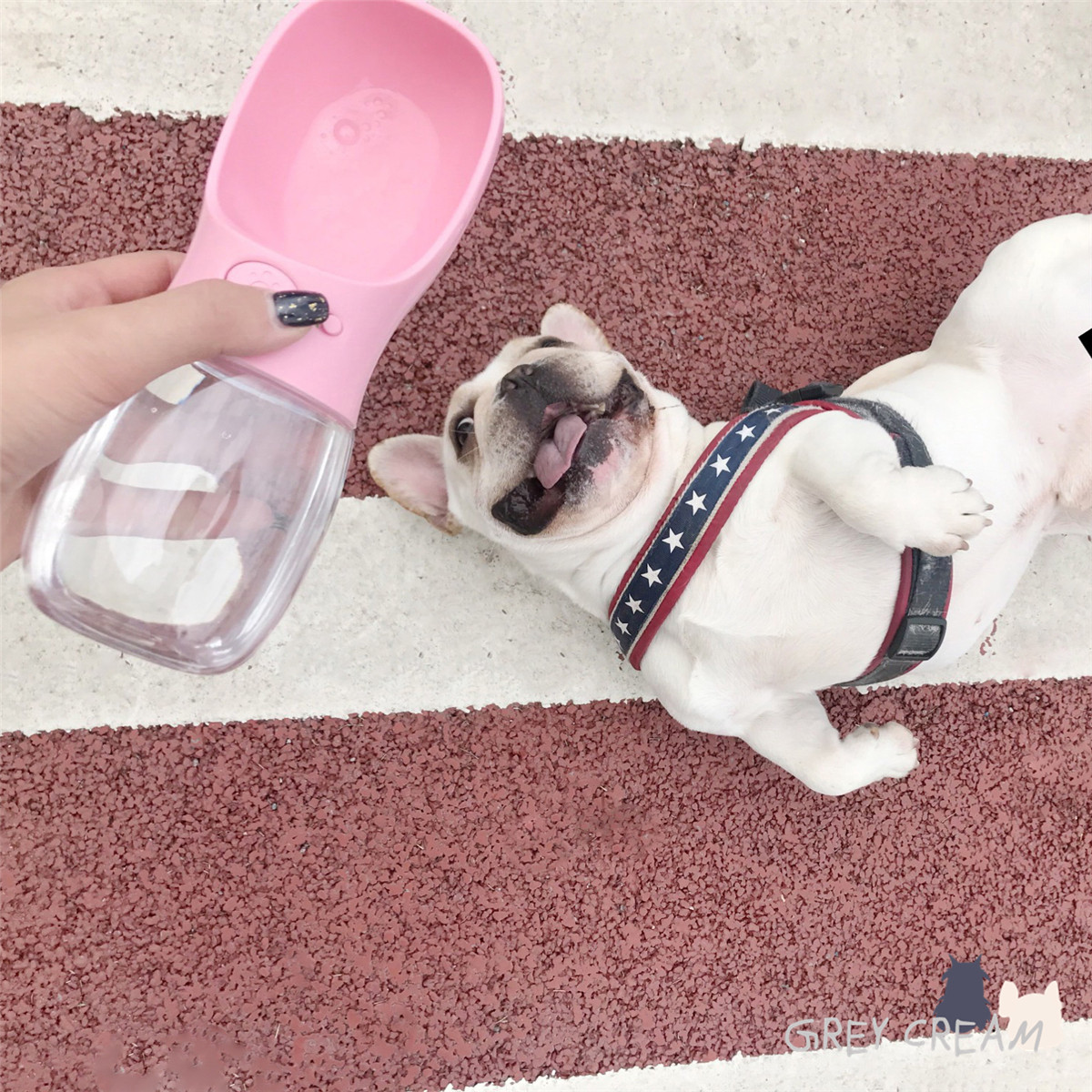 Grey Cream Pet Pet Tide snow Narefa hopper portable out kettle Drinking water bottle portable with water bottle