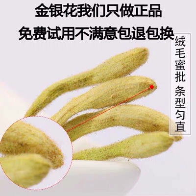 250克金银花20年新货河南封丘金银花茶中药材金银花宝宝洗澡无硫