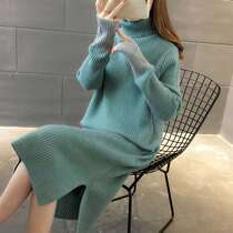 Maternity clothes autumn and winter models high neck thick sweater mid-length knitted base dress Foreign style pregnant mother tide outfit winter