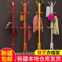 Xinjiang simple bedroom coat rack floor clothes hanger Fashion creative Wrought iron storage rack