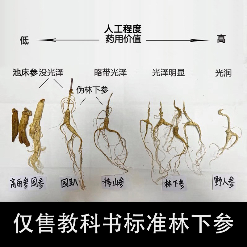 Authentic wild seeds Changbai Mountain wild ginseng forest ginseng 20 years forest ginseng wild ginseng dry ginseng old ginseng