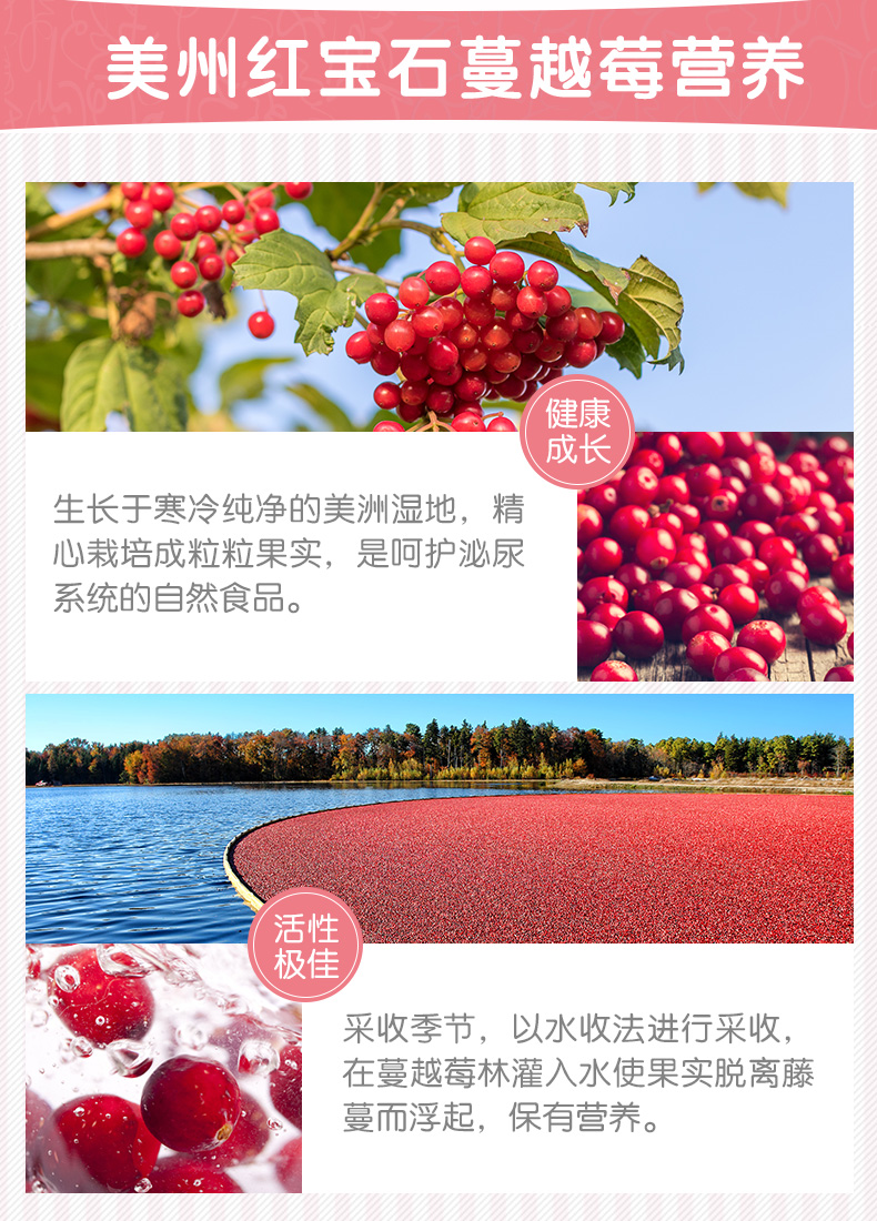 Meds IN-KAT Cat Cranberry tiết niệu 15g - Cat / Dog Health bổ sung Sữa cho chó con giá rẻ