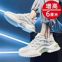 FB2118 Белый и зеленый (увеличенные деньги)