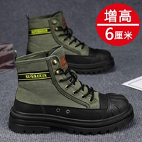 Цзюнь Грин (увеличенные деньги)