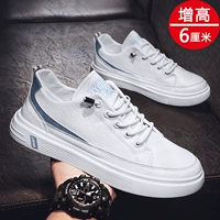 Милан (увеличил деньги)