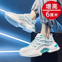 FB2118 Bai Binglan (увеличение денег)