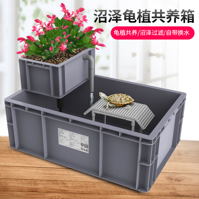 Special cylinder for turtle's cylinder with sundae family with a large amphibious cylinder with drainage holes for the special cylinder Brazilian tortoise