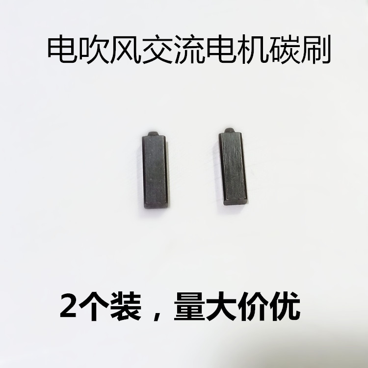 Professional Hair Dryer AC Motor Special Carbon Brush 2 Hair Dryer Accessories Hair Dryer Universal Accessories