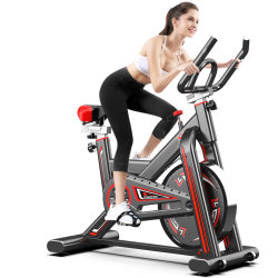 Shuoqi Home-Use Exercise Bike, Spinning Bike, Indoor Luxury Silent Fitness Equipment Bicycle