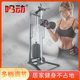 Single-Sided Bird Training Device, High-Position Lower Pull-Down Rowing Integrated Gantry, Single-Sided Home Multi-Functional Training Device